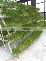 Hydroponics Fodder System for Agriculture thumbnail-2