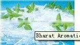 MINT OILS thumbnail-1