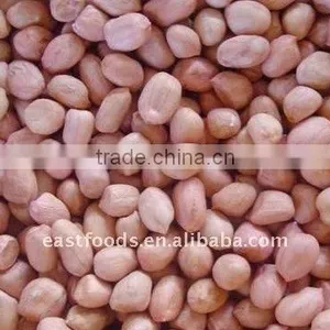 Chinese Round Type Peanut Kernels thumbnail-3