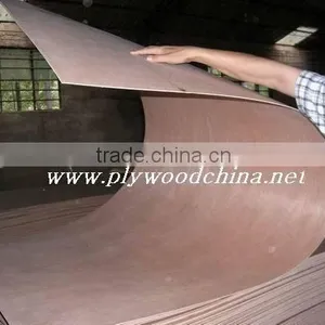 4.5mm C.D Grade Plywood for Philippine Market thumbnail-5