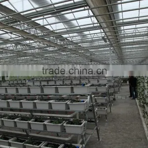 Polycarbonate Sheet Greenhouse thumbnail-4