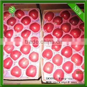 Export Huaniu Apple Company thumbnail-1
