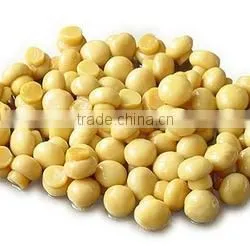 Canned Food Canned Champignon Canned Mushroom/champignon thumbnail-1