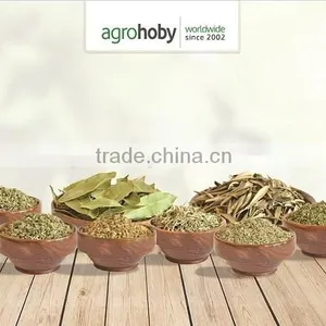 Turkish Rosemary Best Quality thumbnail-2