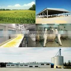 Gansu Huangyanghe Group Food Co., Ltd. company overview - view 1 thumbnail