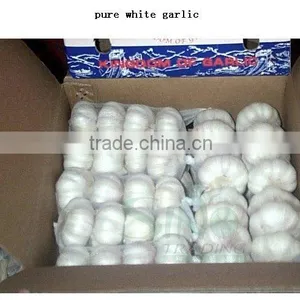 20kg Mesh Bag Garlic Price thumbnail-4