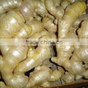 Fresh Air Dry Ginger thumbnail-2