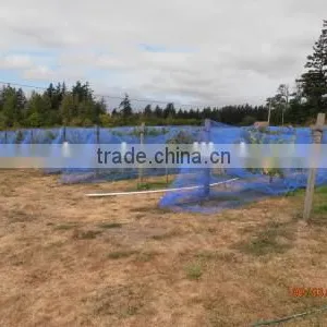 Anti Bird Net for Farming thumbnail-5