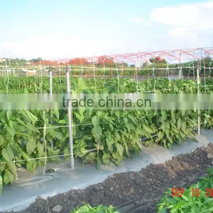 Climbing Plant Support Net thumbnail-5