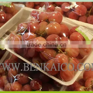 Food Grade Cling Film thumbnail-3