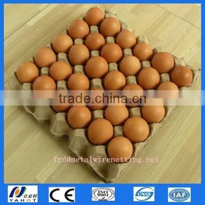 Full Auto Egg Tray Forming Machine thumbnail-1