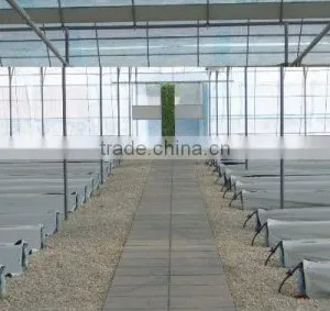 BK Trough Hydroponics thumbnail-2