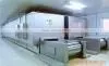 Vegatable and Fruit Tunnel Quick Freeze Machine for Sale thumbnail-1