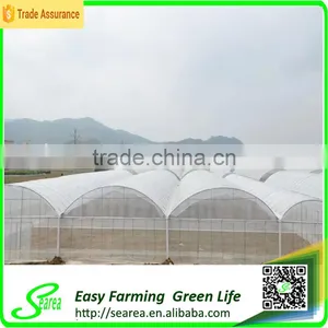 Multispan Tunnel Greenhouse for Flower thumbnail-3