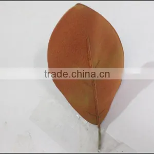 High Quality Artificial Magnolia Leaf thumbnail-2