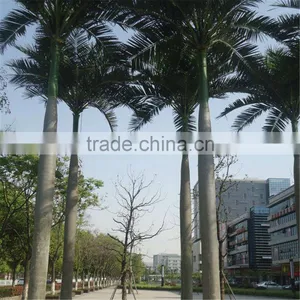 Royal Palm Tree Ornamental Artificial Washingtonia Robusta Palm Trees for Sale thumbnail-2
