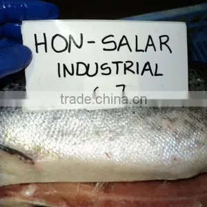 Atlantic Salmon thumbnail-2