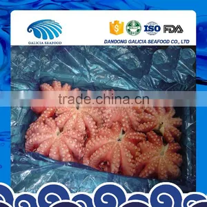 Octopus Flower thumbnail-1