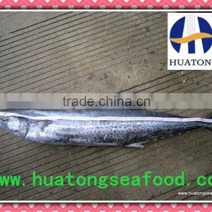 Frozen Spanish Mackerel 1000-1500g thumbnail-1