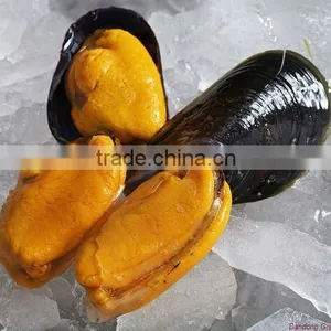 Seafood Frozen Half Shell Blue Mussel Meat thumbnail-1