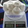 2011 Pure White Fresh Garlic thumbnail-1