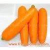 Fresh Carrot thumbnail-1