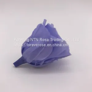 Top Festival Party Decoration Preserved Flower Supplier thumbnail-4