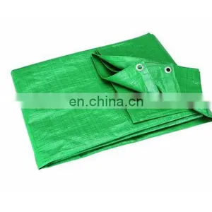 150GSM Tarpaulin Supply To Myanmar Market thumbnail-1