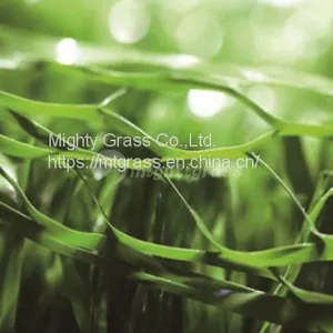Gateball Artificial Grass thumbnail-1