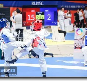 Electronic Protective Equipment for Combat Competitions thumbnail-4