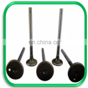 Cross-country Spare Parts Engine Valve for Izuzu Bighorn Ubs69 4XJ1 4JG2 4ZE1 thumbnail-3