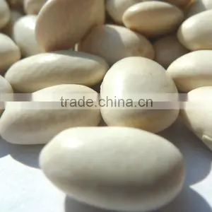 Organic Kidney Bean thumbnail-1