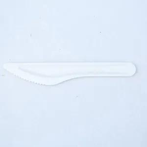 100% Bagasse Dinner Knife Sugarcane Biodegradable Tableware Disposable Bagasse Knife Serving Knife thumbnail-4