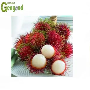 Electric Rambutan Peeling Machine thumbnail-1