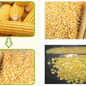 Maize Thresher Sweet Corn Threshing Machine Fresh Corn Sheller thumbnail-6