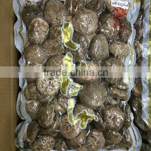 China Dried Shiitake Mushroom to Korean Market thumbnail-1