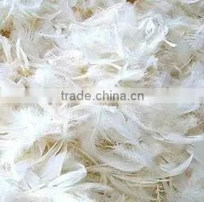 2-4CM Washed White Duck Feather thumbnail-2