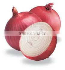 Red Onions thumbnail-1