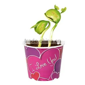 Message Bean in Pot , 2013 Hot Sale Magic Bean thumbnail-1