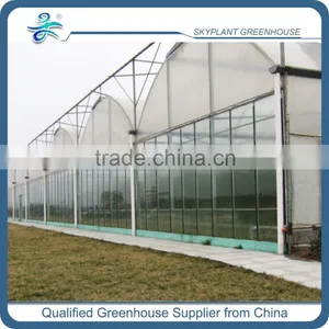 Plastic Film Greenhouse Large for Flowers Vegetables thumbnail-1