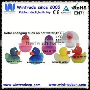 Novelty Baby Duck Change Color thumbnail-1