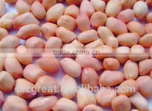 Supplying Raw Bulk Peanut Kernele Baisha Type for Sales thumbnail-5