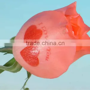 China Rose Printer thumbnail-1