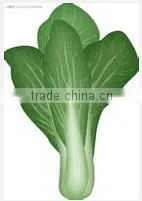 Multi-function Fresh Vegetable Packing Machinery (DCTWB-350X) thumbnail-3