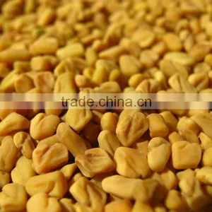 High Grade Fenugreek Seed thumbnail-2