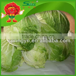 Chinese Cabbage Fresh Green-yellow Cabbage thumbnail-3