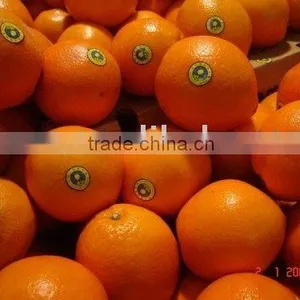 Navel Orange Fruit thumbnail-1