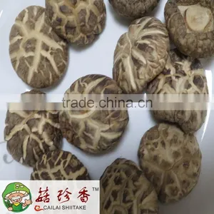 4-6 cm Dried Flower Shiitake Mushroom of Nutrition Planting thumbnail-1