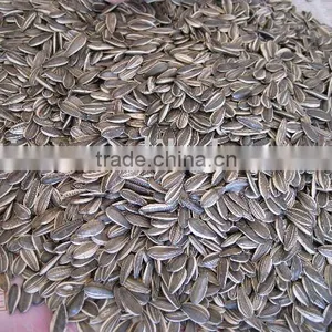 New Crop Black Sunflower Seeds 20/64,22/64,24/64 thumbnail-1
