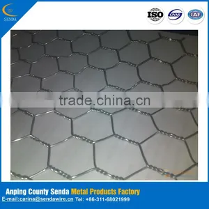 /Hot Sale Chicken Wire Netting/ Hexagonal Wire Netting/ Poultry Mesh/lowest Price/highest Quality thumbnail-4